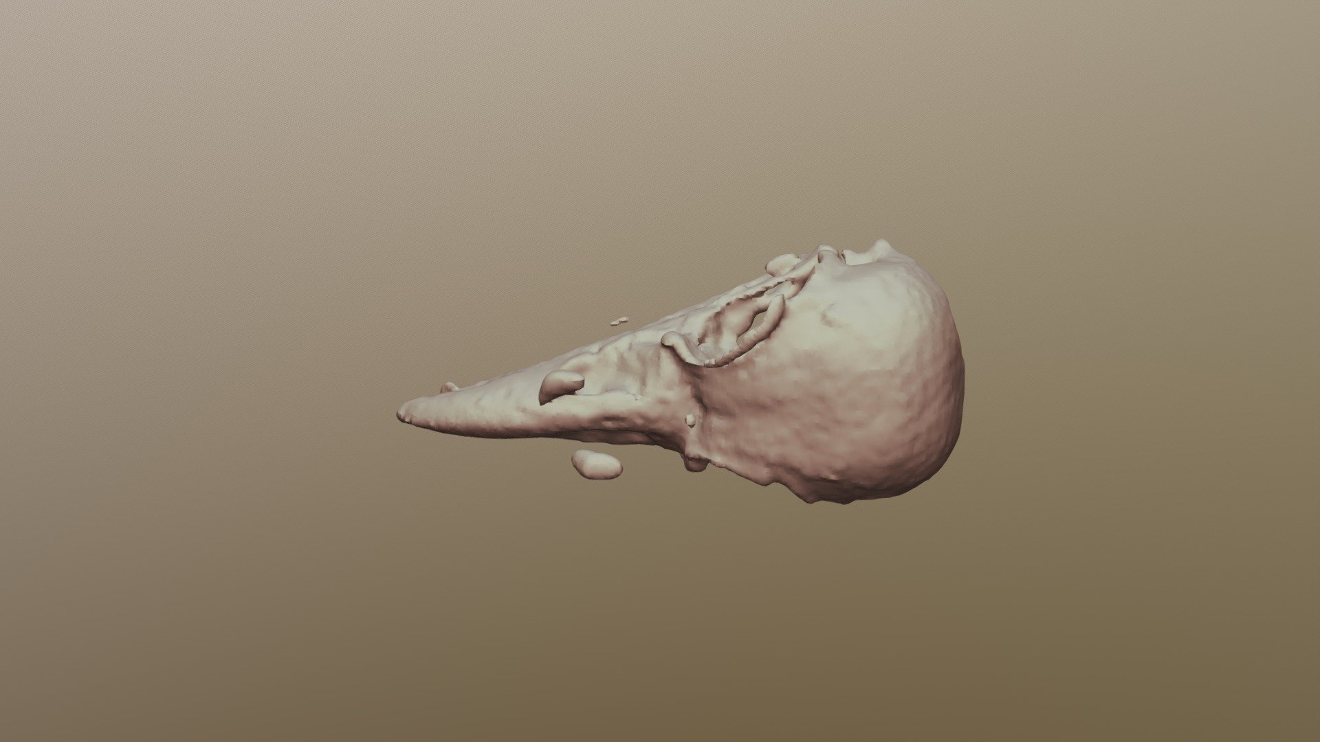 5E-Raven Skull-BC8130