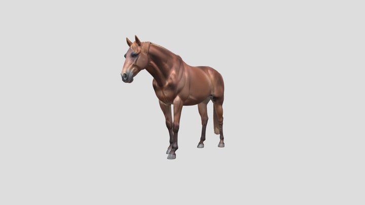 Chestnut Horse In Profile – Kostenloses 3D-Modell STL
