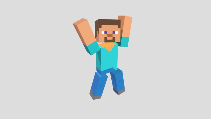 Celebrating Steve 3D Model