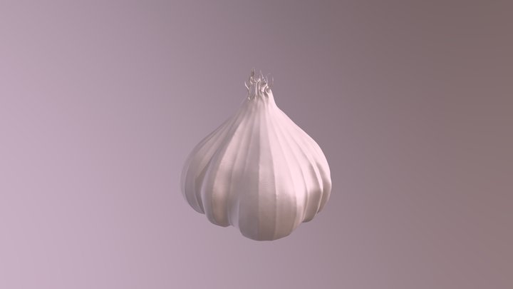 Garlic sculpt 3D Model