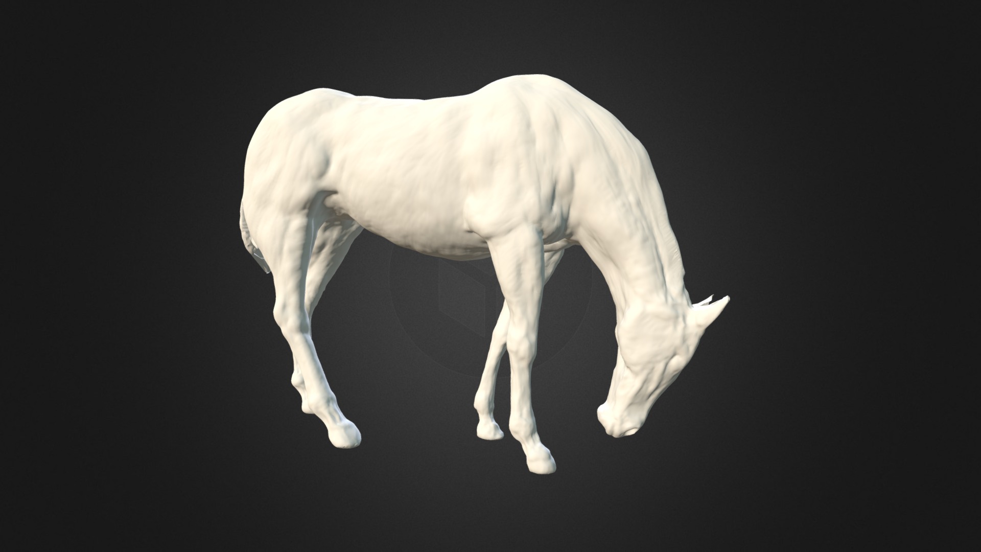 3D model Horse modelled in ZBrush - This is a 3D model of the Horse modelled in ZBrush. The 3D model is about a white horse with a black background.