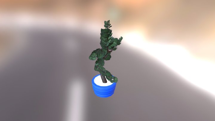Bonzai 3D Model