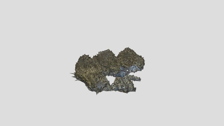 Beach Rocks Pbr Scan – Free 3D Model STL