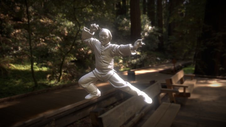 KUNG FU 3D Model