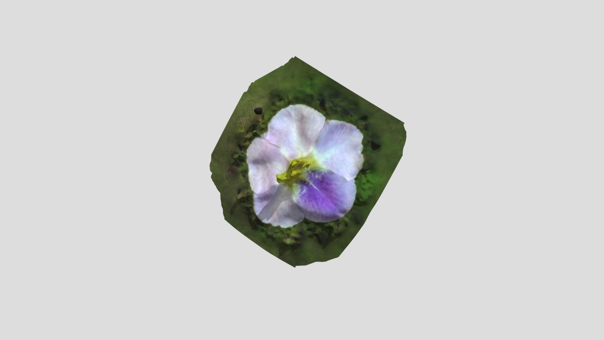3D Flower