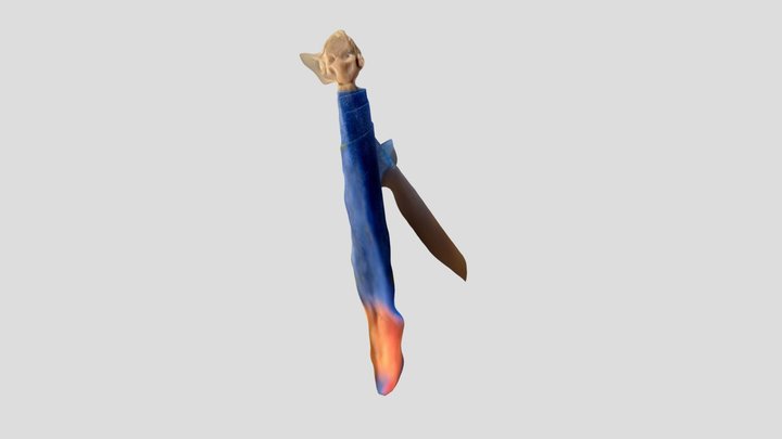 Polycam capture 3D Model