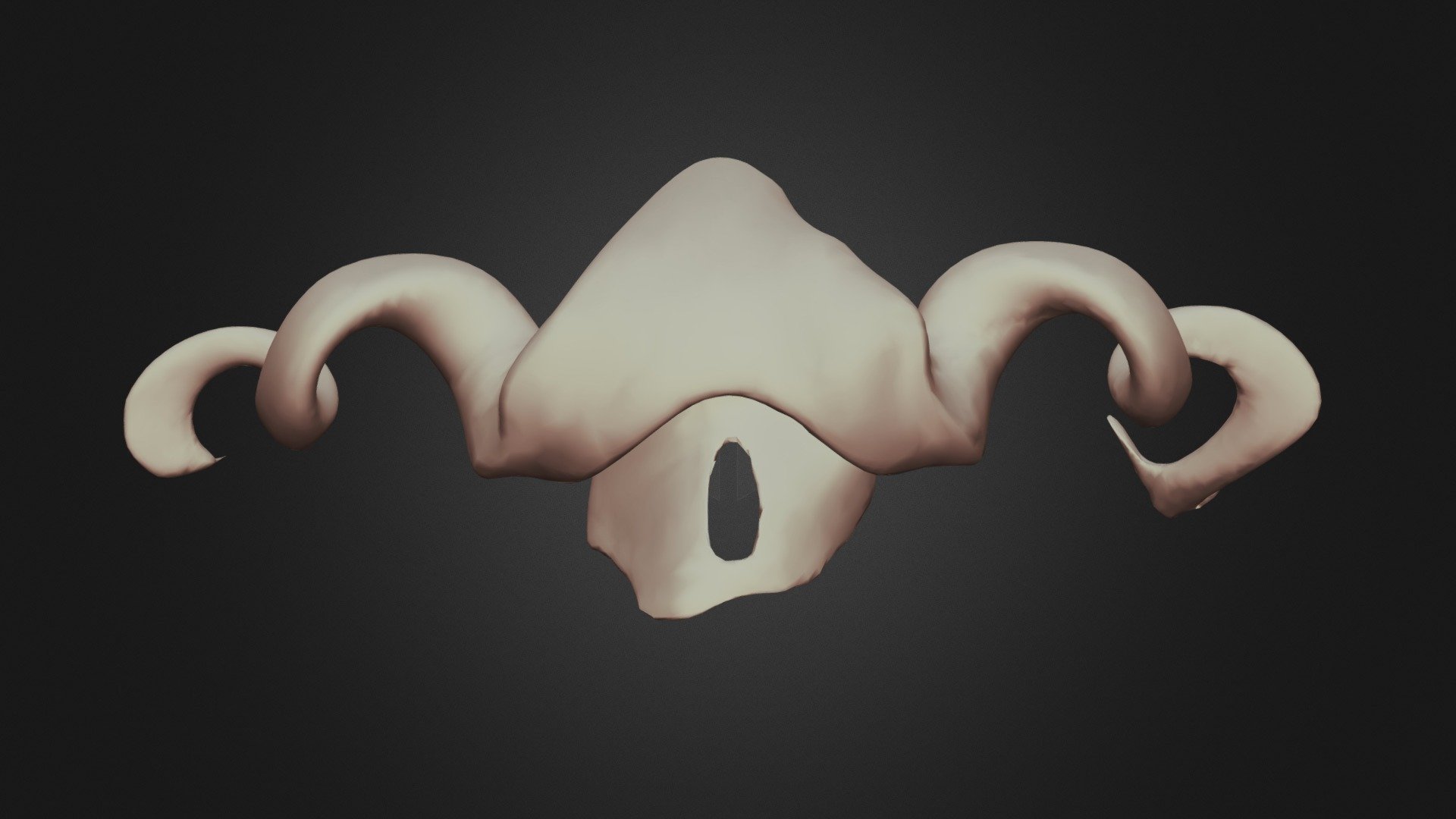 skull