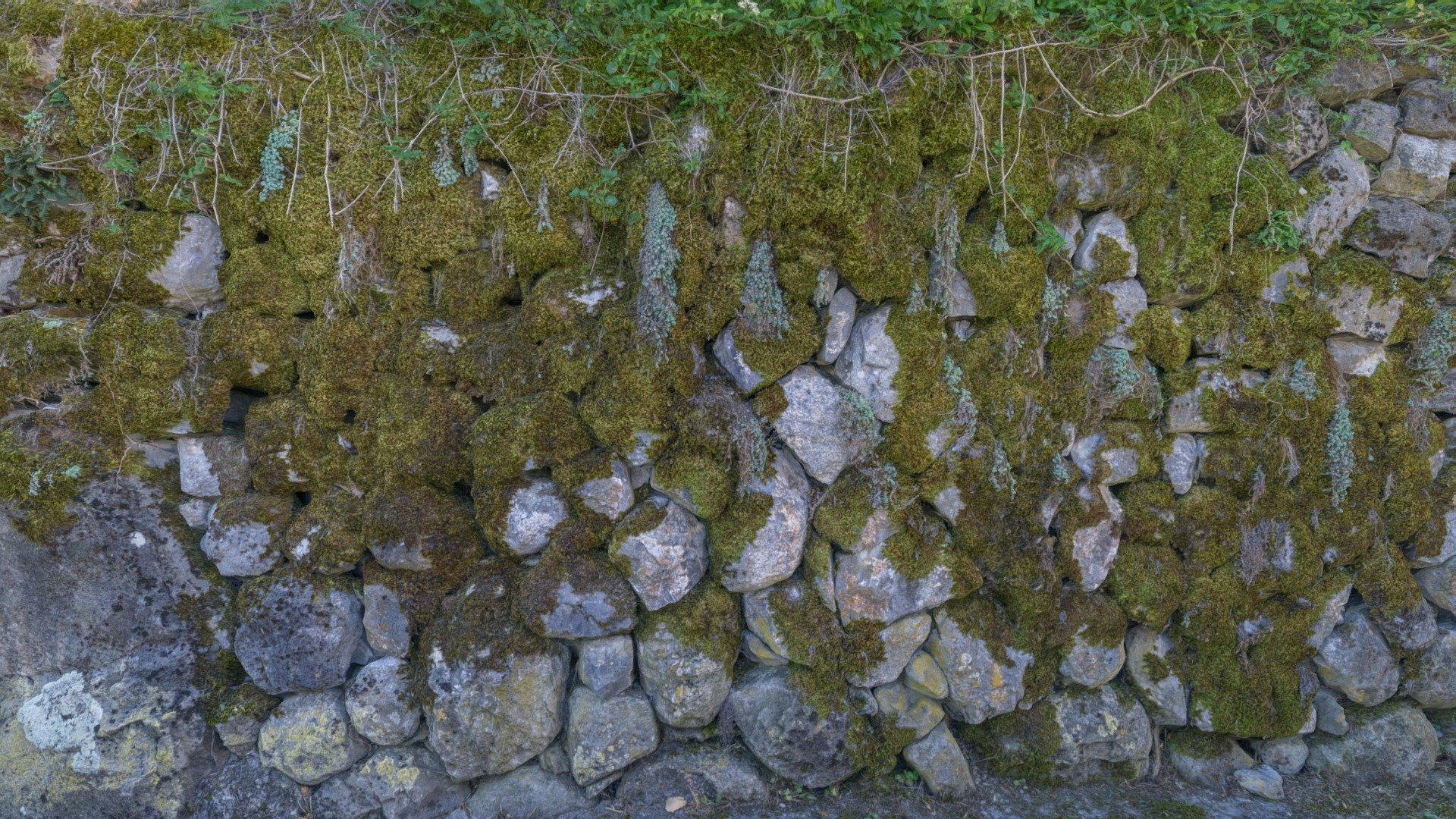 Geometrical Moss Patch Wall Art