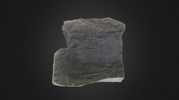 Graptolite: Monograptus clintonensis (PRI 76765) – Gratis 3D-model STL