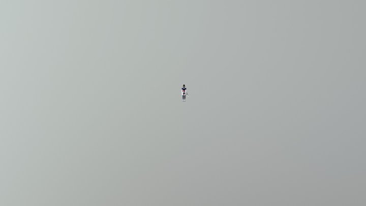 Ninja no Onna 3D Model