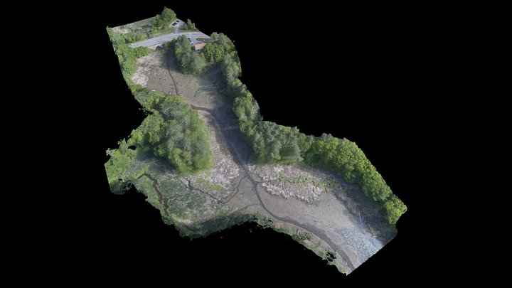 Beard's Creek Drawdown [2018-05-30] 3D Model