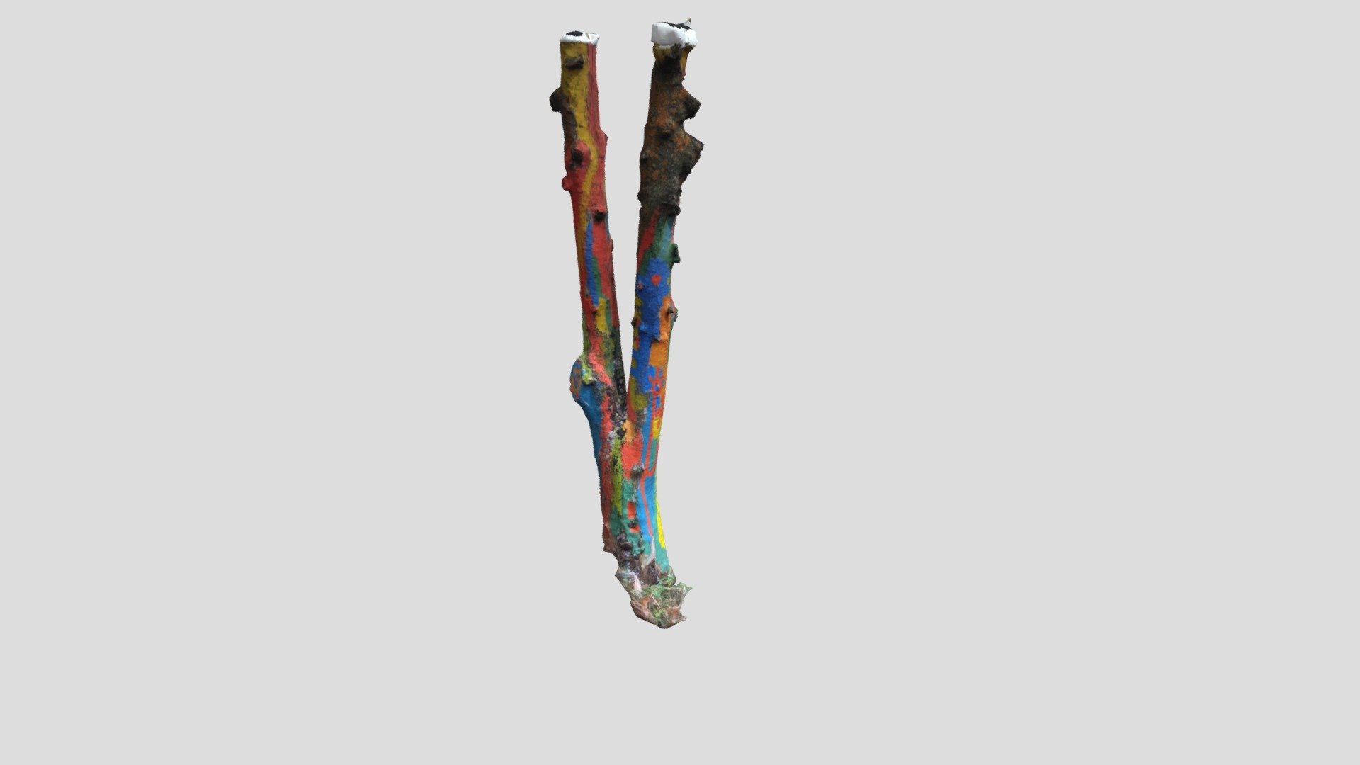 Painted tree trunks