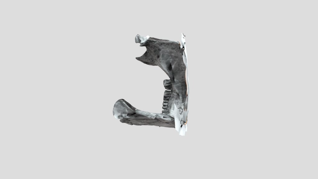 UNC_Scan_37