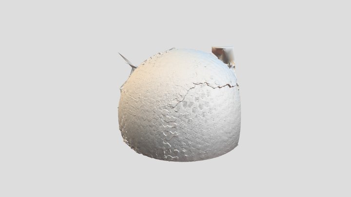 Half a ball temp 3D Model