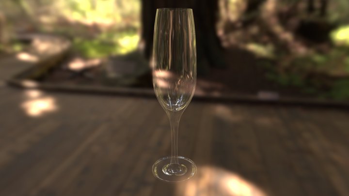 Champagne Glass Test 3D Model