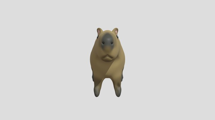 capybara 3D Model