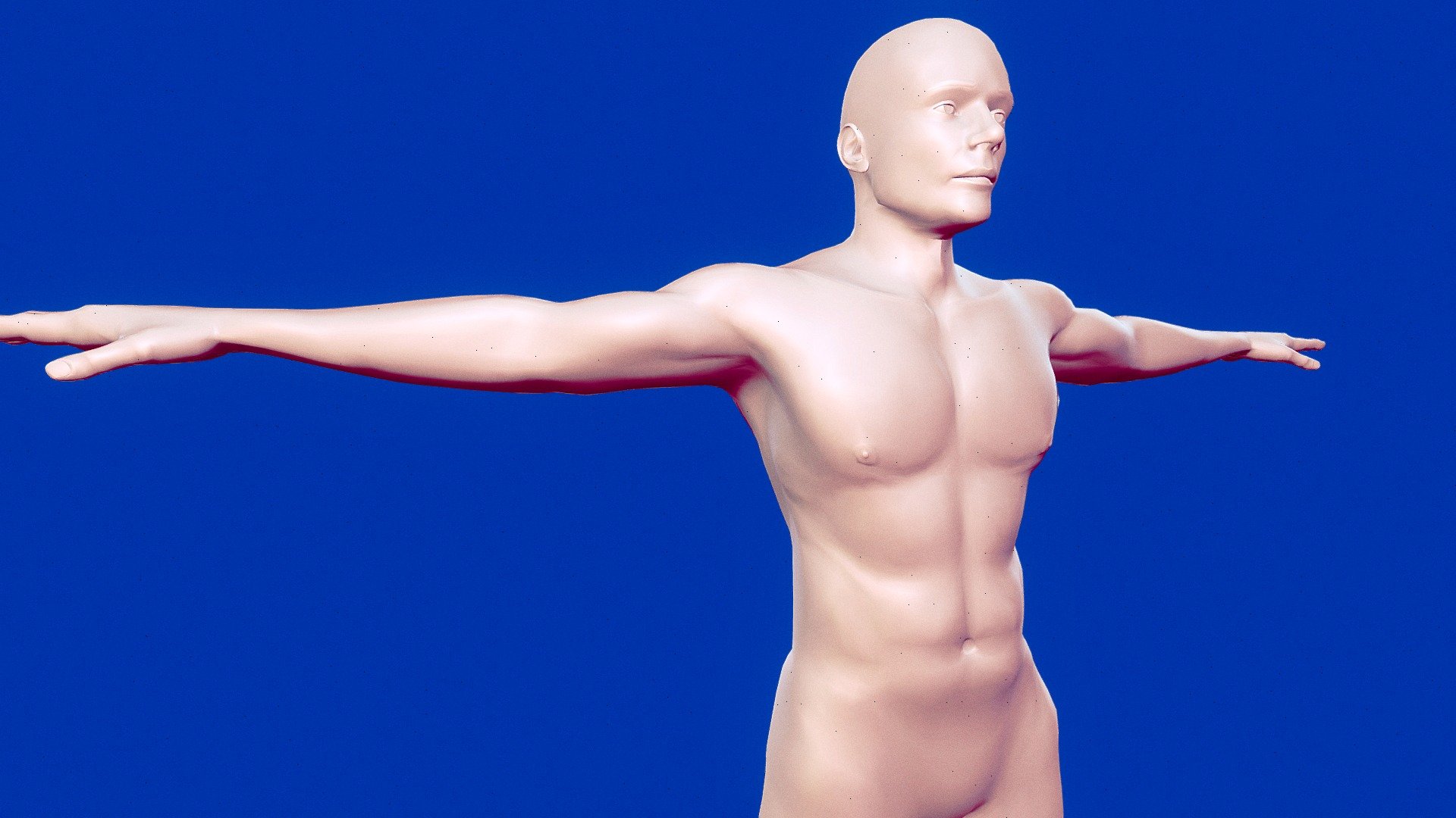 Man,male T-pose model base FREE - Download Free 3D model by ALexzart ...