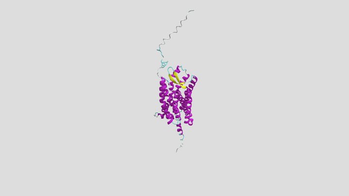Ca5R1 GPCR 3D Model