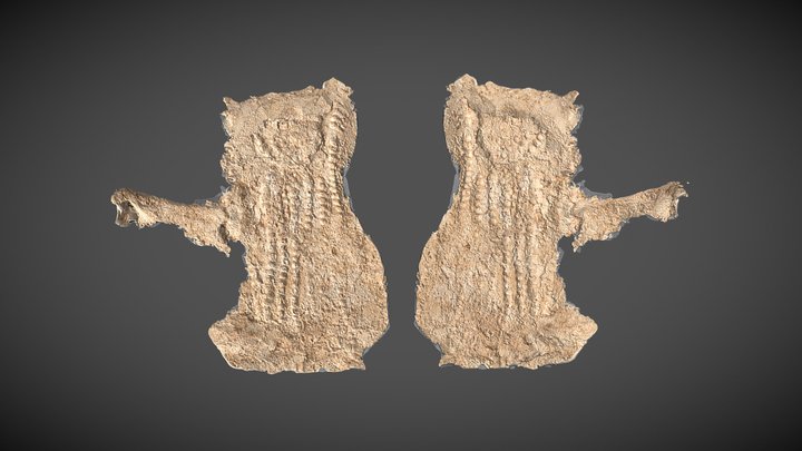 Estampage n°17 (caveaux de Naintré) – Modelo 3D gratuito STL