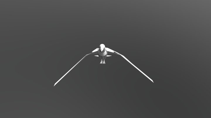 Aguila 3D Model