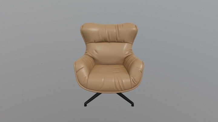 49ec5604919e665374c5b39ca5b33637 3D Model