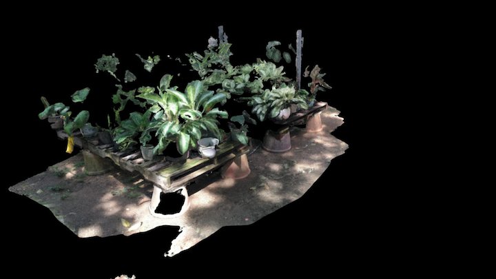 18_PM 3D Model