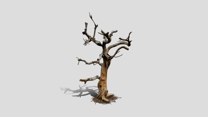 Old Tree 3d model free – Gratis 3D-model STL