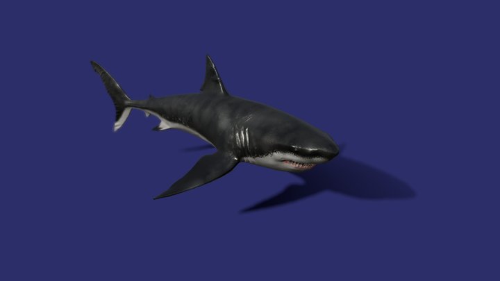 GWS O 02 3D Model