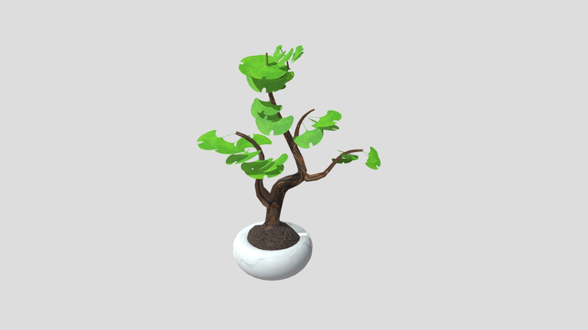 week 8 plant