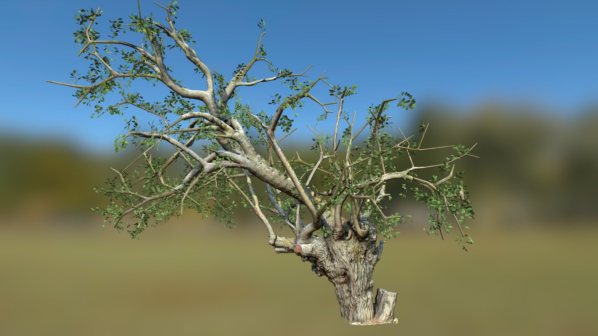 N060 Tree