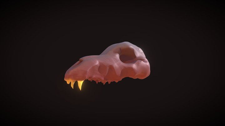 WolfSkull 3D Model