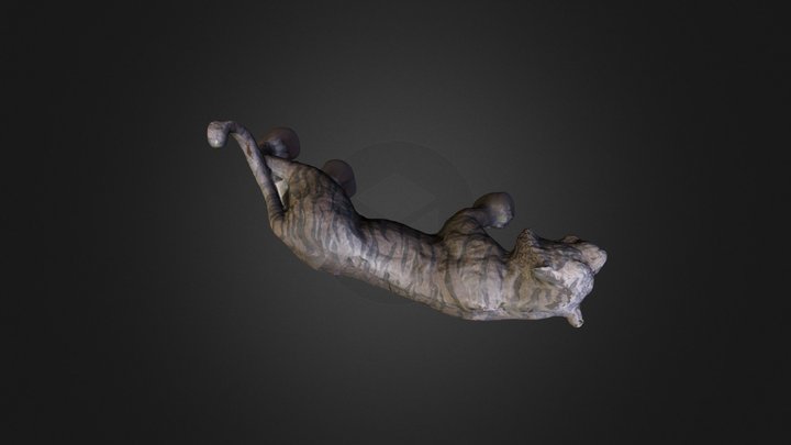 tiger45 3D Model