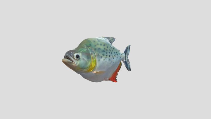 New Piranha (Serrasalmus Novus) – Gratis 3D-model STL