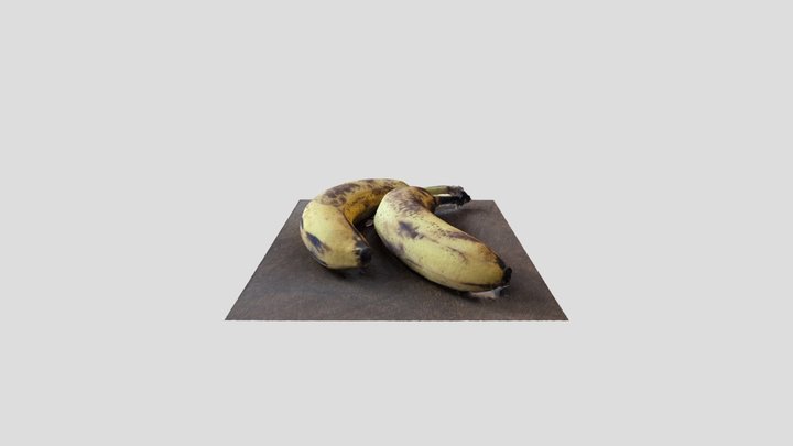 Pair O' 3D Model