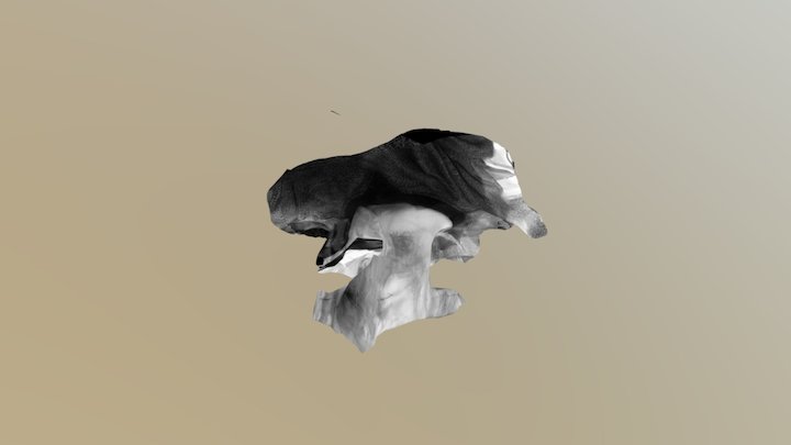 Decimated 3D Model
