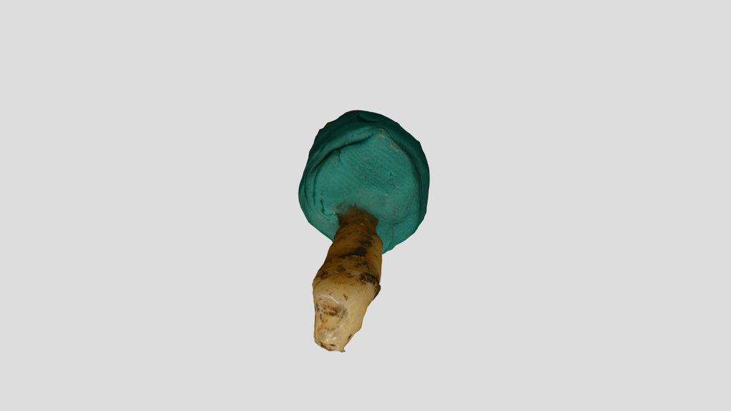 Modified Tooth Models - A 3D model collection by ccverdguo - Sketchfab