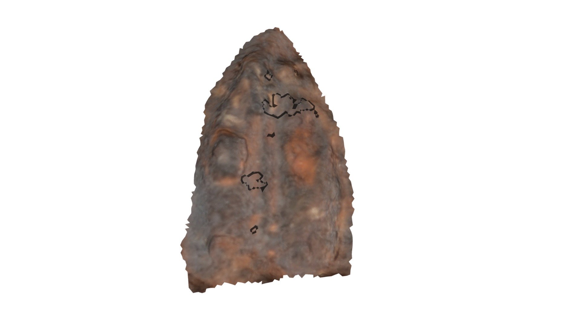 C5 - aurochs MNIR