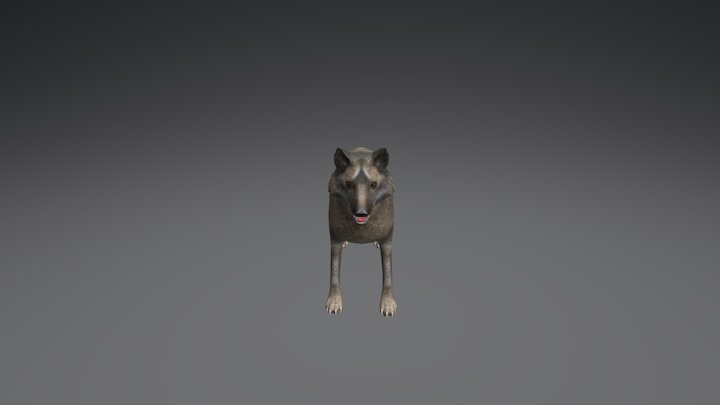 Wolf 3D Model