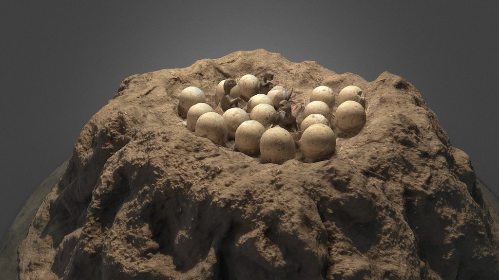 NEST DINOSAUR Maiasaura NHM LONDON 2020