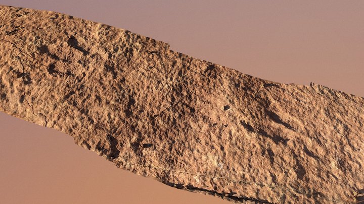 Dilophosaurus Trackway - Red Fleet State Park 3D Model