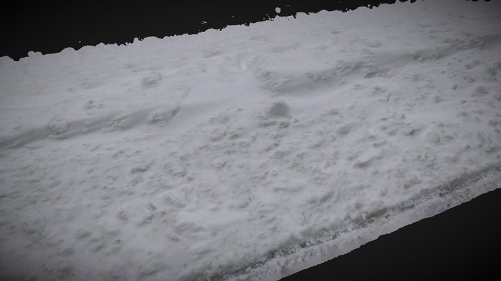 Snowed on sidewalk (typ 6) 3D Model