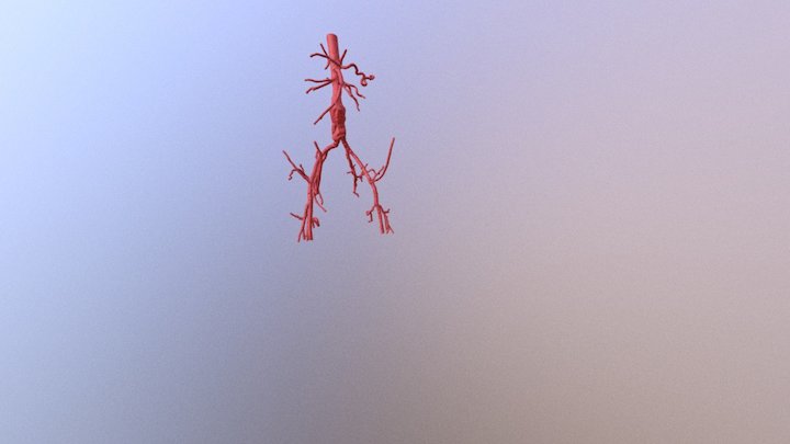 AAA 3D Model