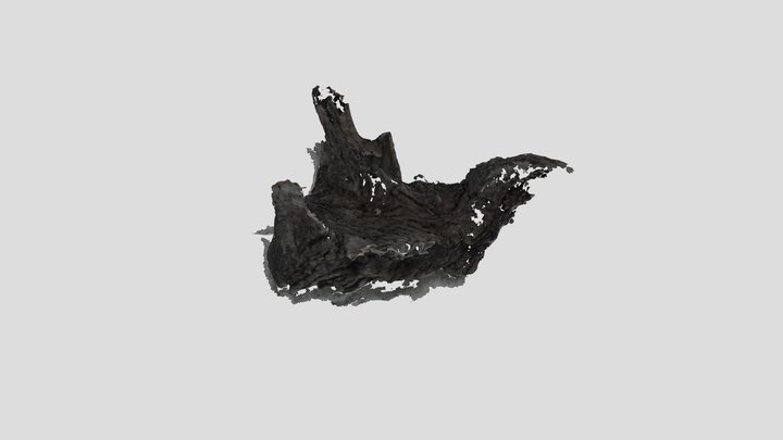 Ozarks Driftwood Stump V2 (OBJ) 3D Model