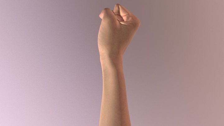 Fist 3D Model