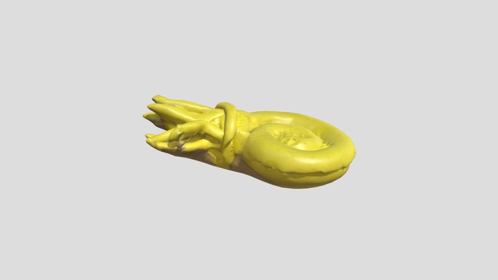 ammonite – Modello 3D gratuito STL