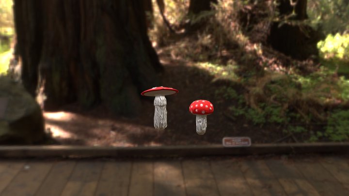 Setass 3D Model