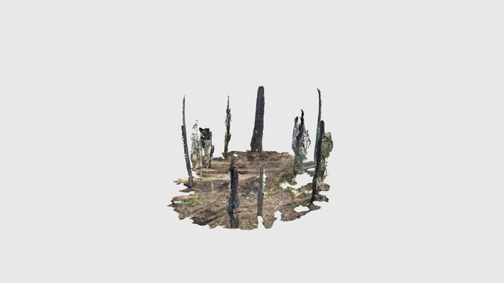 Lucian treehouse site 20 3D Model