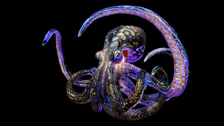 Octopus Speedsculpt 3D Model