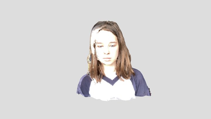 Amber 3D Model
