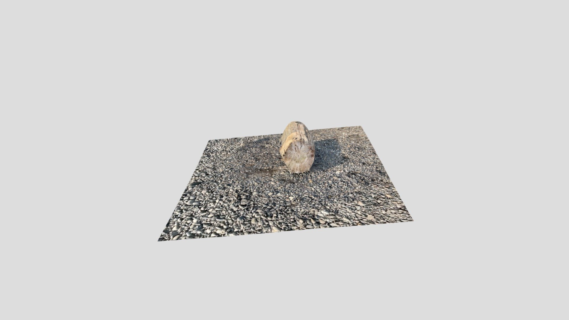 Log